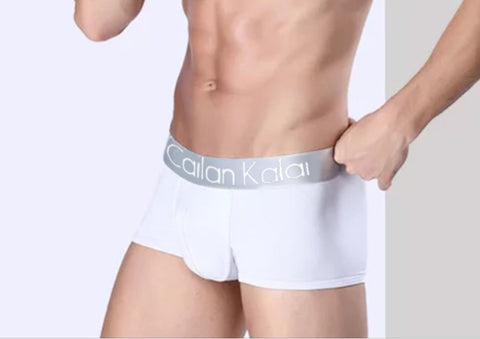 Men's Underwear Boxers Modal Breathable Boxer