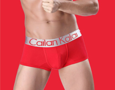 Men's Underwear Boxers Modal Breathable Boxer