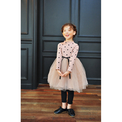 Children dress 2021 Korean girls long sleeved dress new autumn and winter. The spot direct manufacturers