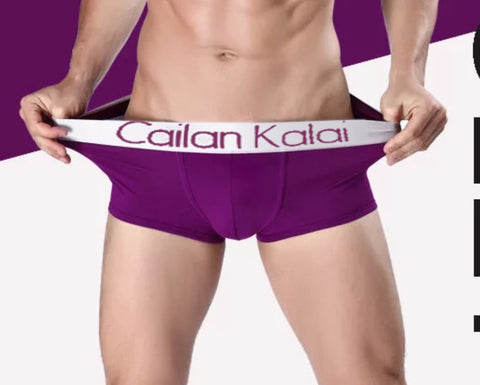 Men's Underwear Boxers Modal Breathable Boxer