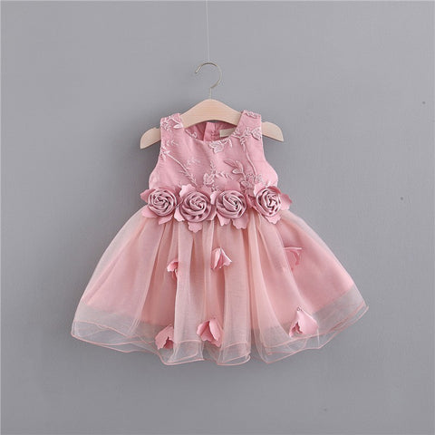 Fashion Baby Girl Three-dimensional Embroidered Dress